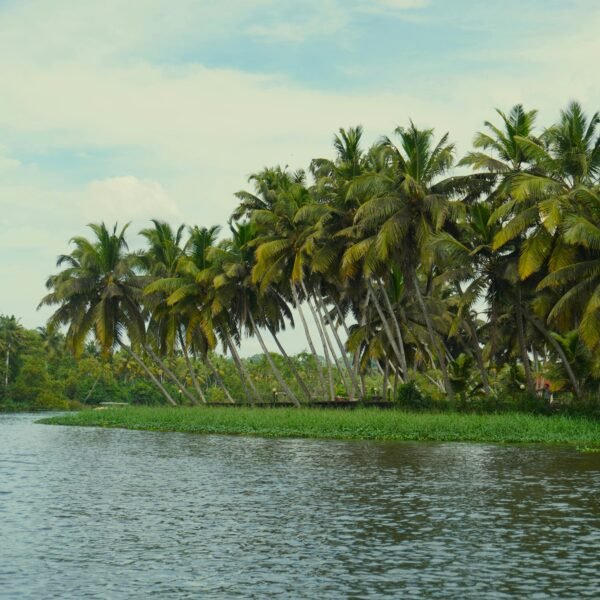 POOVAR